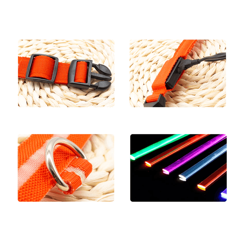 Colar de Led para Pets - HubyShop