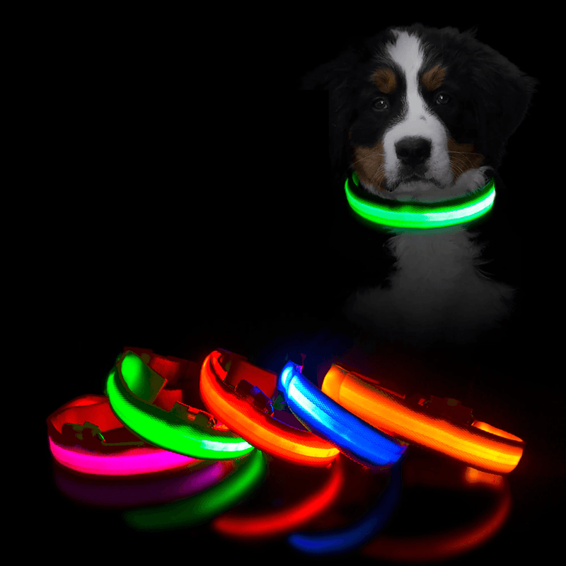 Colar de Led para Pets - HubyShop