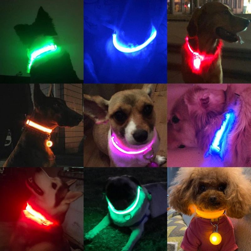 Colar de Led para Pets - HubyShop